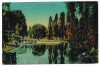 1327 - BUCURESTI, Park Cismigiu - old postcard - used, Circulata, Printata