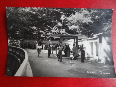 AUG15 - Vedere/ Carte postala - Olanesti foto