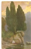 CPI (B5242) CARTE POSTALA - PELUBA. PEISAJ, STANCA, POMI, Necirculata, Fotografie