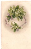 CPI (B5258) CARTE POSTALA - FELICITARE, LACRAMIOARE, FLORI DE &quot;NU MA UITA&quot;