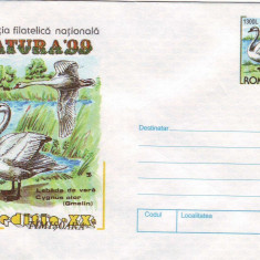 Fauna - Pasari, Expozitia Natura 1999, intreg postal necirculat