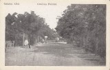 ROMANIA CARTE POSTALA CETATEA ALBA GRADINA PUBLICA