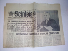 Ziar SCANTEIA - vineri, 20 februarie 1981 Nr. 11974 foto