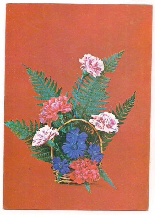 % carte postala (cod0210|79)-COS CU GAROAFE