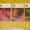 Scriitori romani - 3 vol. - Tudor Vianu - Editura Minerva - 1970