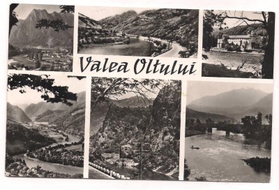 % carte postala (ilustrata)-VALEA OLTULUI foto