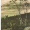 CPI (B5301) CARTE POSTALA - ION ANDREESCU - STANCI LA APREMONT
