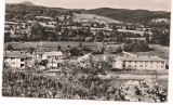 % carte postala (ilustrata)-BAIA DE ARAMA-vedere