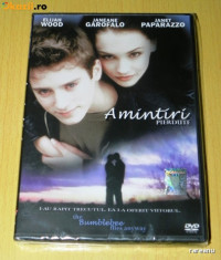 DVD FILM THE BUMBLEBEE FLIES ANYWAY / AMINTIRI PIERDUTE . NOU. SIGILAT. SUBTITRARE IN LIMBA ROMANA foto