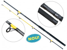 Lanseta Mix carbon Catfish Fighter 2402 Baracuda 2,4m Actiune: A: 50-150g foto