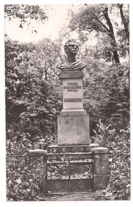 % carte postala (ilustrata)-SUCEAVA-Statuia lui Ciprian Porumbescu foto mare % carte postala (ilustrata)-SUCEAVA-Statuia lui Ciprian Porumbescu foto mare