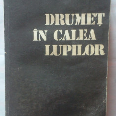 NICOLAE DRAGOS SI MIHAI STOIAN - DRUMET IN CALEA LUPILOR