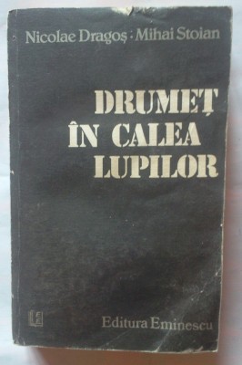 NICOLAE DRAGOS SI MIHAI STOIAN - DRUMET IN CALEA LUPILOR foto