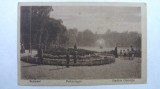 2 - BUCURESTI - GRADINA CISMIGIU - SEPIA - EDITURA GERMANA - INCEPUT DE 1900, Necirculata, Fotografie