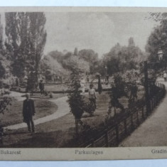 3 - BUCURESTI - GRADINA CISMIGIU - SEPIA - EDITURA GERMANA - INCEPUT DE 1900