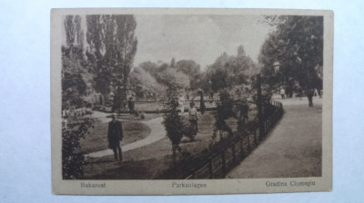 3 - BUCURESTI - GRADINA CISMIGIU - SEPIA - EDITURA GERMANA - INCEPUT DE 1900 foto