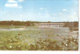 CPI (B5365) CARTE POSTALA - DELTA DUNARII, PELICANI, CIRCULATA 1963, Fotografie