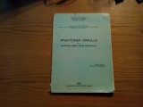 ANATOMIA OMULUI - Vol. III Systema Nervosum Centrale - G. S. Dragoi, G. Mocanu, Alta editura