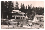 % carte postala-HARGHITA-Borsec -vedere