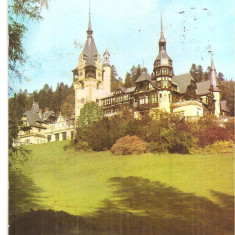 CPI (B5393) CARTE POSTALA - SINAIA. CASTELUL PELES, CIRCULATA 1981