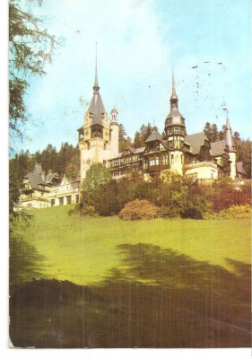 CPI (B5393) CARTE POSTALA - SINAIA. CASTELUL PELES, CIRCULATA 1981 foto