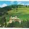 % carte postala-VATRA DORNEI-Suceava-Motel Runc