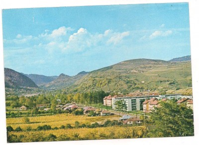 % carte postala-SUCEAVA -LUCACESTI foto