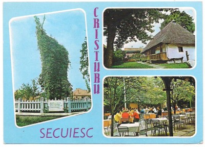 % carte postala-HARGHITA-Cristuru Secuiesc-colaj foto