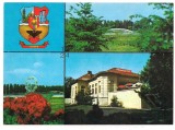 % carte postala-BUZAU-colaj, Necirculata, Printata