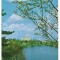 % carte postala-BUCURESTI-Lacul Herastrau