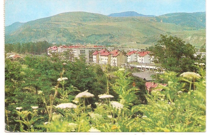 % carte postala-SU -LUCACESTI -Bacau