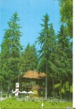 CPI (B5463) CARTE POSTALA - CABANA HOMOROD