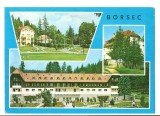 CPI (B5410) CARTE POSTALA - BORSEC. MOZAIC