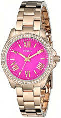 Fossil Women&amp;#039;s AM4598 Cecile Gold-Tone Stainless | 100% original, import SUA, 10 zile lucratoare af22508 foto