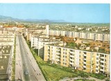 CPI (B5499) CARTE POSTALA - BAIA MARE STRADA GEORGE COSBUC, Necirculata, Fotografie