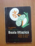 b Boala litiazica - Piatra la rinichi, Piatra la ficat - Tr. Caracas, V. Filip