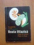 B Boala litiazica - Piatra la rinichi, Piatra la ficat - Tr. Caracas, V. Filip