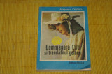 Domnisoara Lou si trandafirul galben - Anisoara Odeanu - Editura Facla - 1985