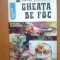 c Gheata de foc - Victor Barladeanu
