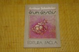 Drum deschis - Arthur Schnitzler - Editura Facla - 1986