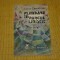 Plimbare in parcul linistit - Lucia Demetrius - Cartea Romaneasca - 1987