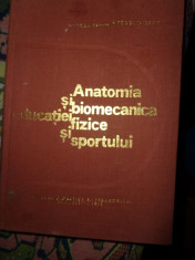 Anatomia si biomecanica educatiei fizice si sportului- M.Ifrim,A.Iliescu foto