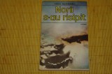 Norii s-au risipit - Virgil Bostanaru - Editura Militara - 1989