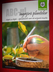 Abc-ul ingrijiri plantelor foto