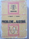 PROBLEME DE ALGEBRA - C. Cosnita, F. Turtoiu