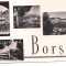 % carte postala (ilustrata)-CLUJ-Borsa