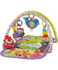 Covor de activitate 3 in 1 muzical, Fisher Price foto