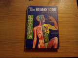 THE HUMAN BODY - Mitchell Wilson, illustrations: Cornelius De Witt - 1961