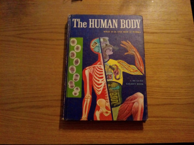 THE HUMAN BODY - Mitchell Wilson, illustrations: Cornelius De Witt - 1961 foto