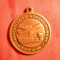 Medalie cu toarta - Aviatie- TAROM , anii &#039;70 , bronz , d= 3 cm
